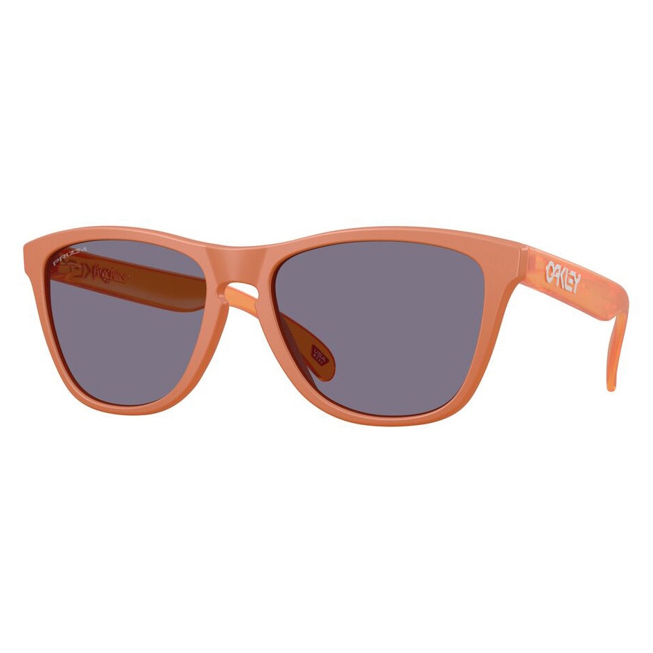 オークリー（OAKLEY）（メンズ、レディース）サングラス FROGSKINS A 9245E754