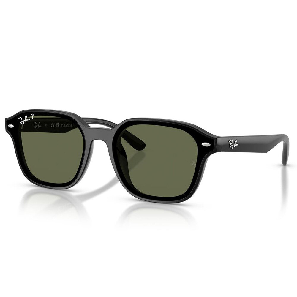 レイバン（RAY-BAN）（メンズ、レディース）サングラス 4458D601/9A65