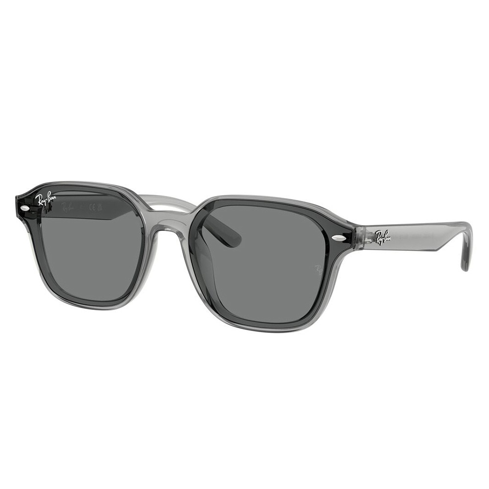 レイバン（RAY-BAN）（メンズ、レディース）サングラス 4458D64508765
