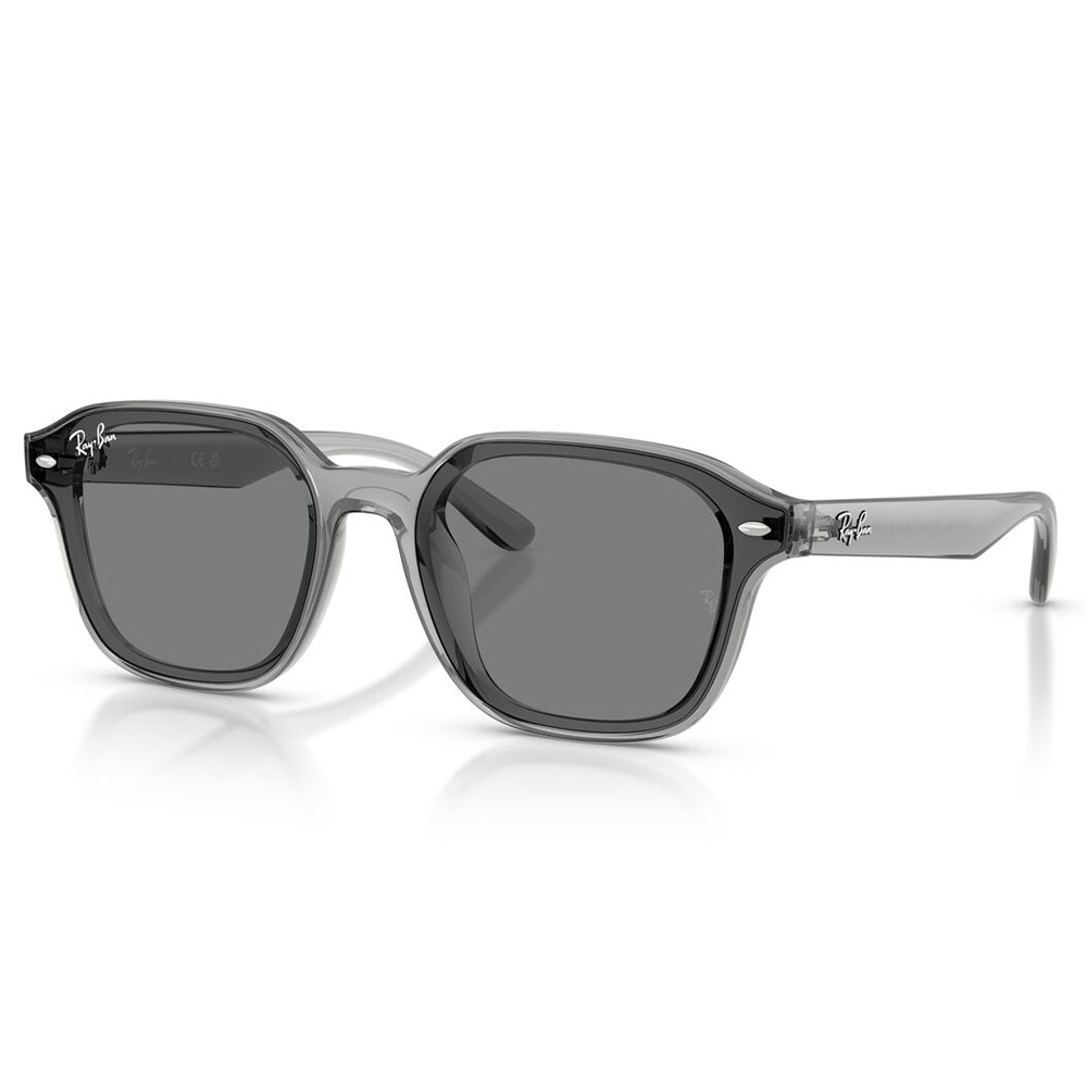レイバン（RAY-BAN）（メンズ、レディース）サングラス 4458D64508765