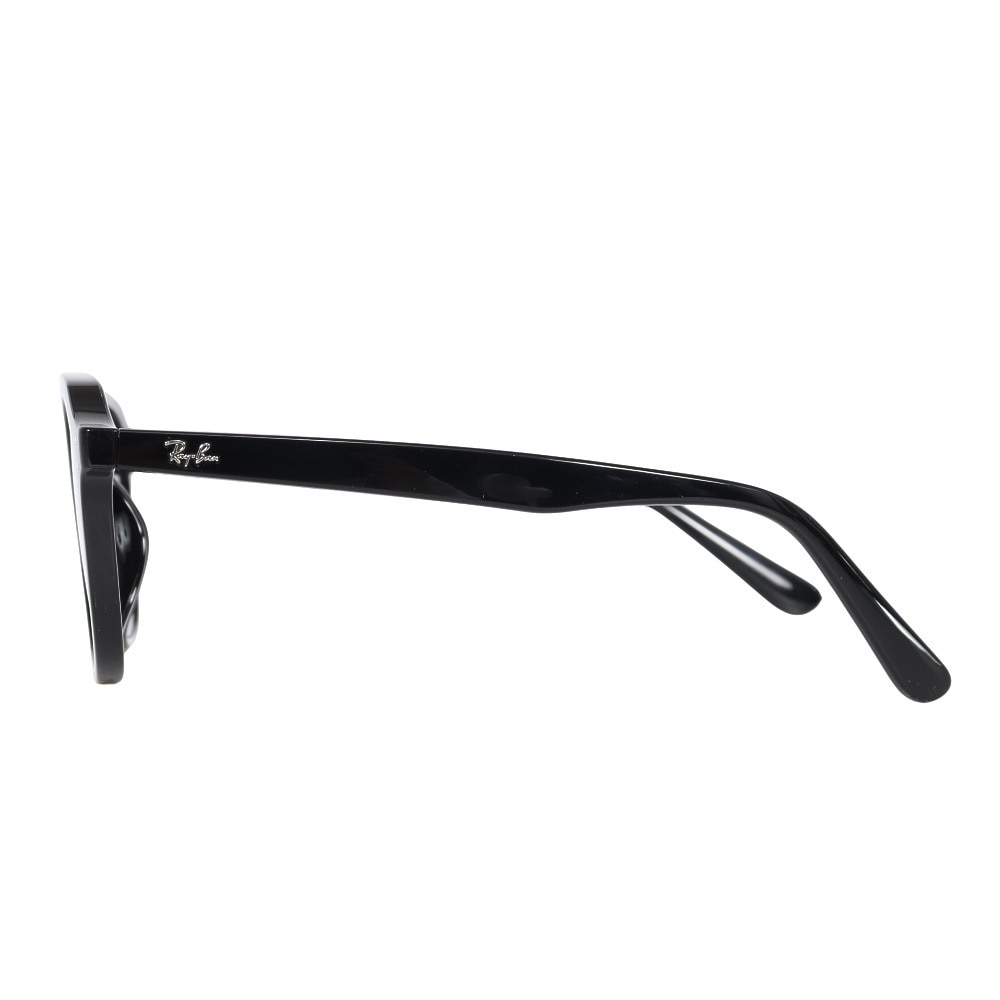 レイバン　RayBan  サングラス レイバン（RAY-BAN）（メンズ）サングラス RB4459D 901/87 54