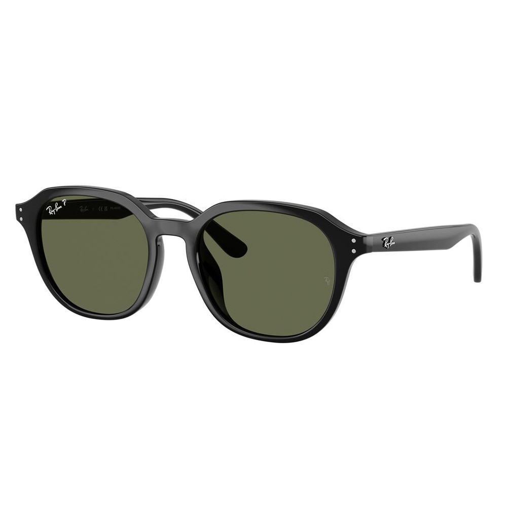 レイバン（RAY-BAN）（メンズ、レディース）サングラス 4459D901/9A54 カジュアル ファッション