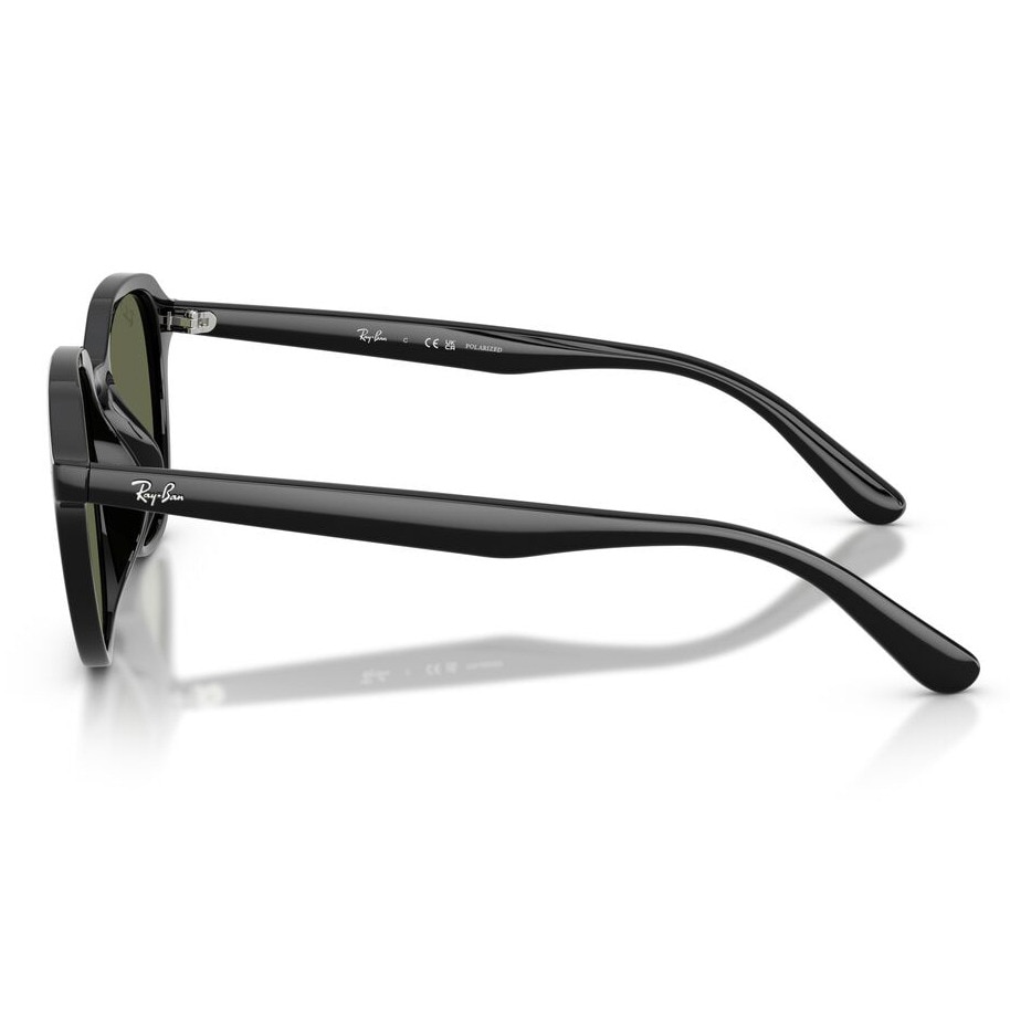 レイバン（RAY-BAN）（メンズ、レディース）サングラス 4459D901/9A54 カジュアル ファッション