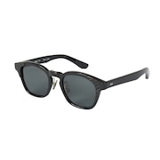 (メンズ、レディース)クラブ 01 フィリペ サングラス MCEW251001-BLK