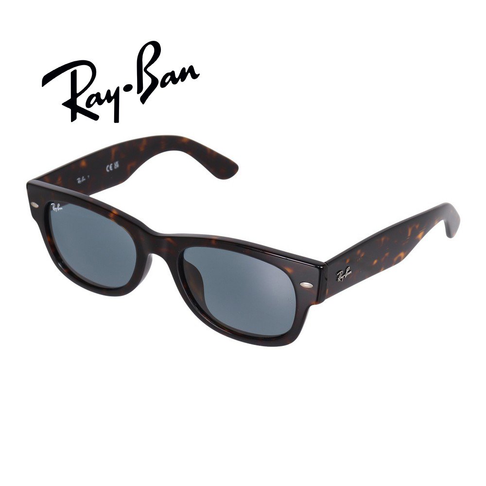 レイバン（RAY-BAN）（メンズ）サングラス MEGA WAYFARER II 0832SF902