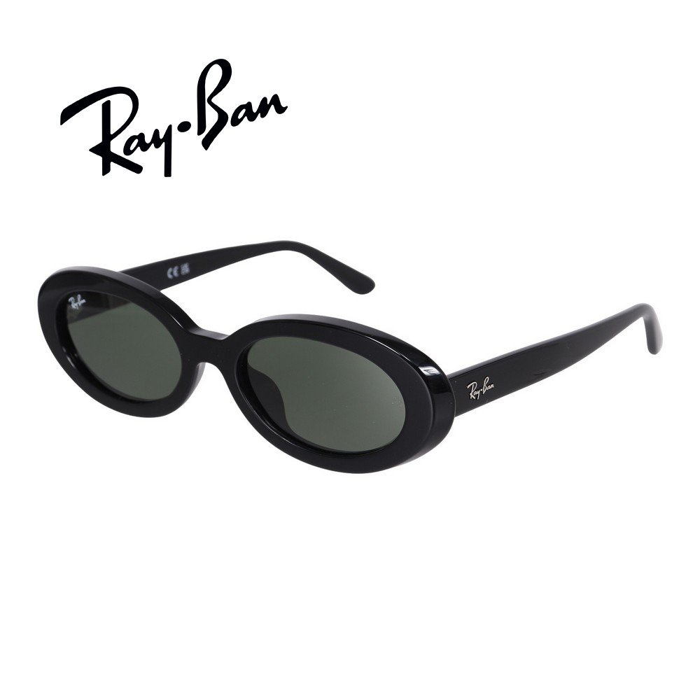 レイバン（RAY-BAN）（メンズ）サングラス 0RB2223F 2223F601/3154