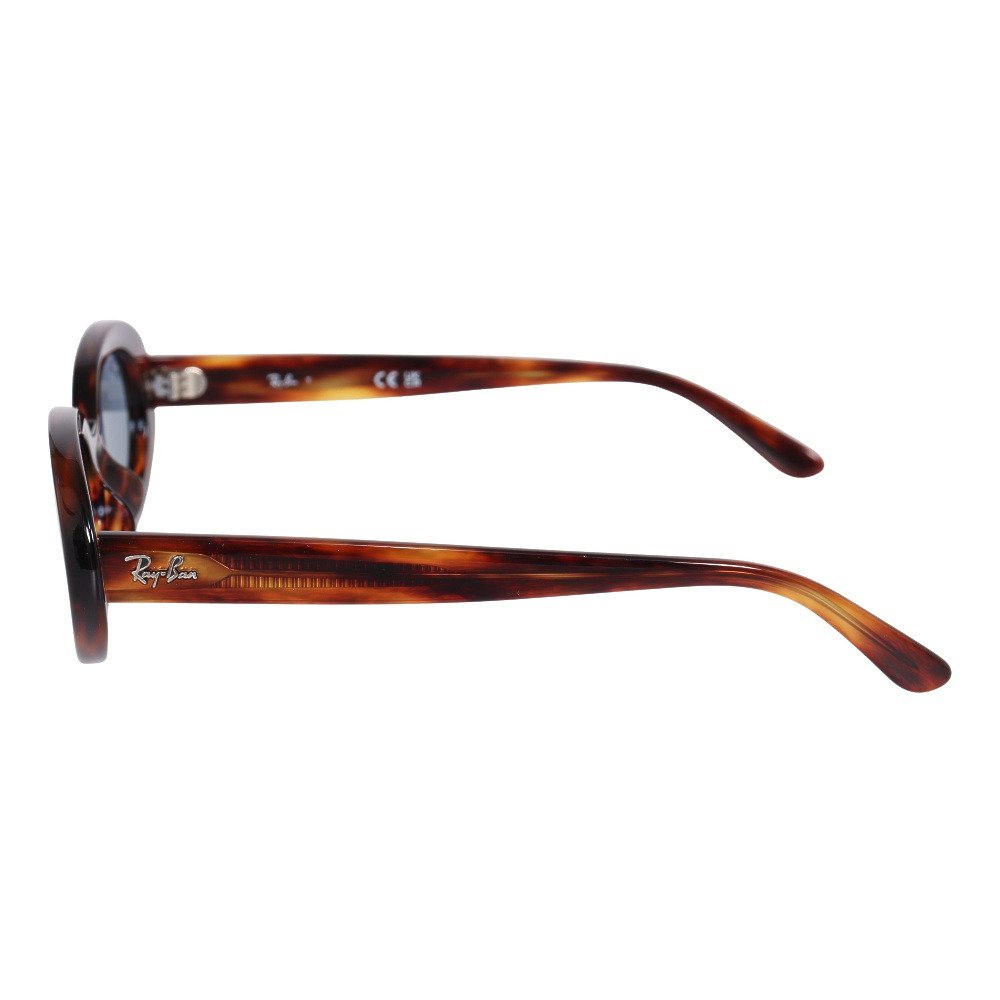 レイバン（RAY-BAN）（メンズ）サングラス 0RB2223F 2223F954/5654