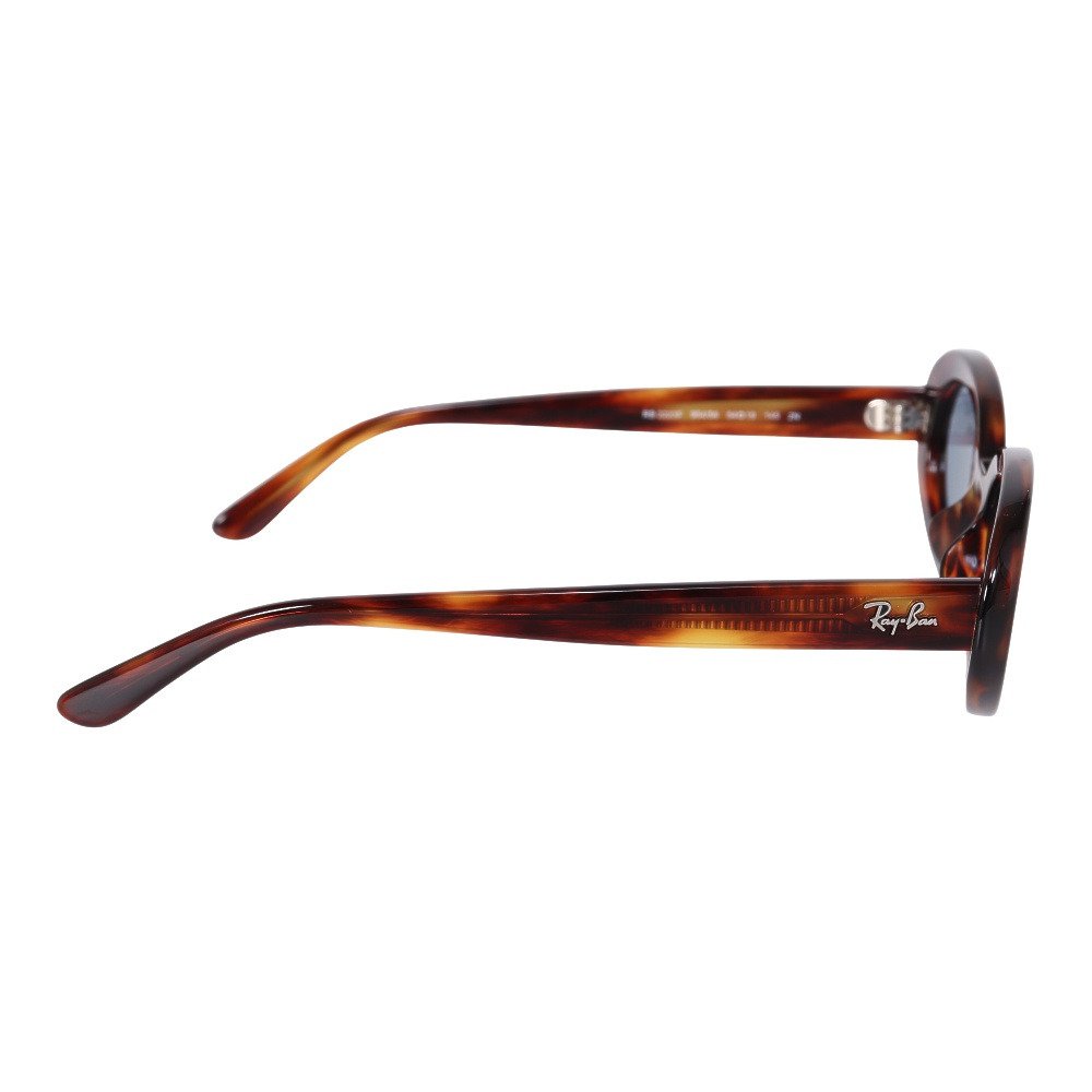 レイバン（RAY-BAN）（メンズ）サングラス 0RB2223F 2223F954/5654