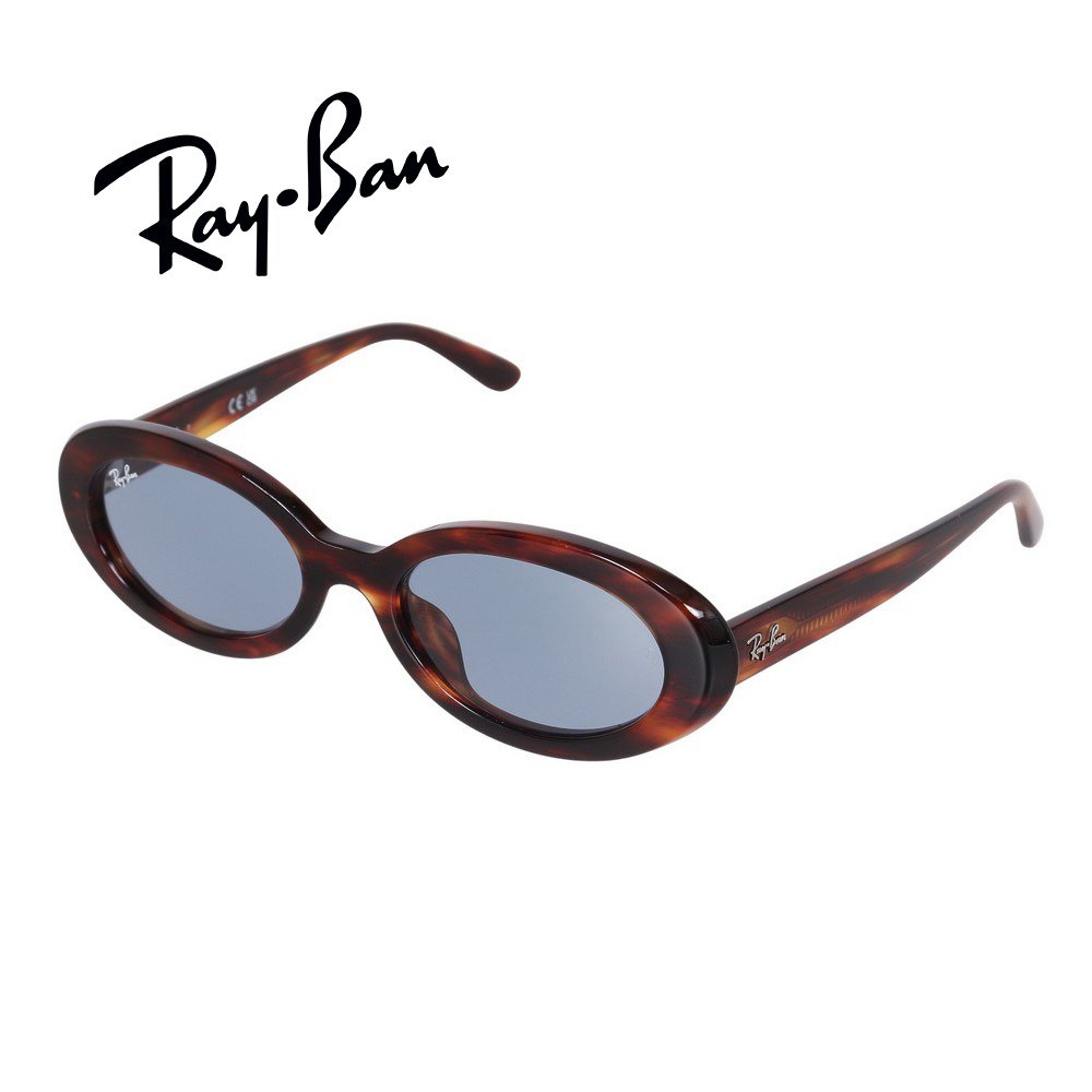 レイバン（RAY-BAN）（メンズ）サングラス 0RB2223F 2223F954/5654