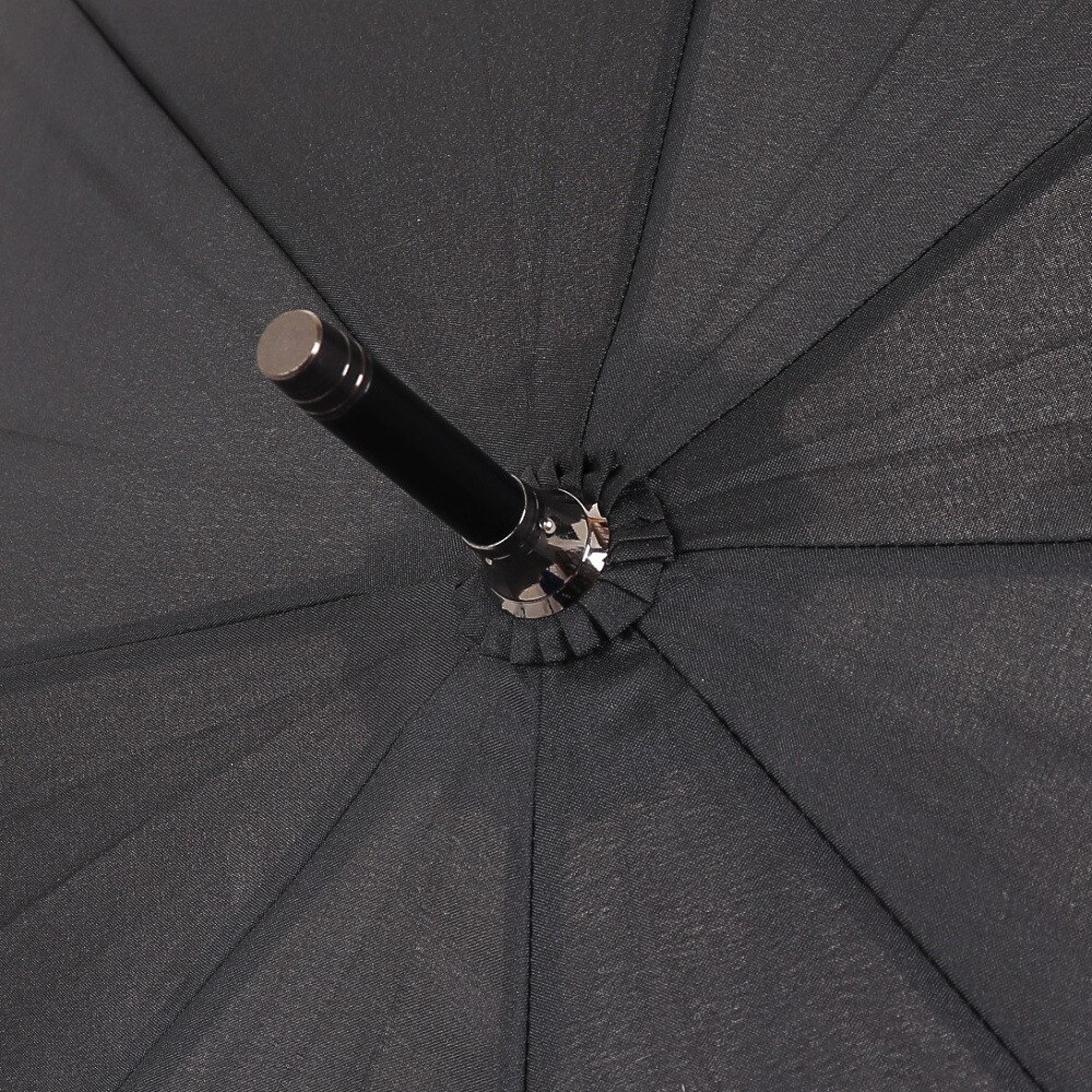 チャンピオン（CHAMPION）（メンズ、レディース）雨傘 ボーダー柄 ジャンプ傘 長傘 CHM34JP65 BK 黒 65cm