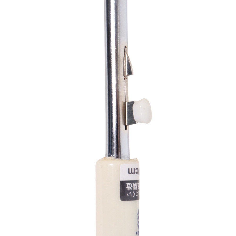 チャンピオン（CHAMPION）（メンズ、レディース、キッズ）雨傘 長傘 くすみ 無地 60cm 耐風 CHL71JP60 BE ベージュ