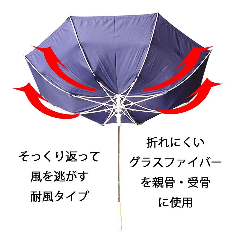 チャンピオン（CHAMPION）（レディース）雨傘 長傘 くすみ無地 60cm ジャンプ耐風傘 CHL71JP60 NV ネイビー