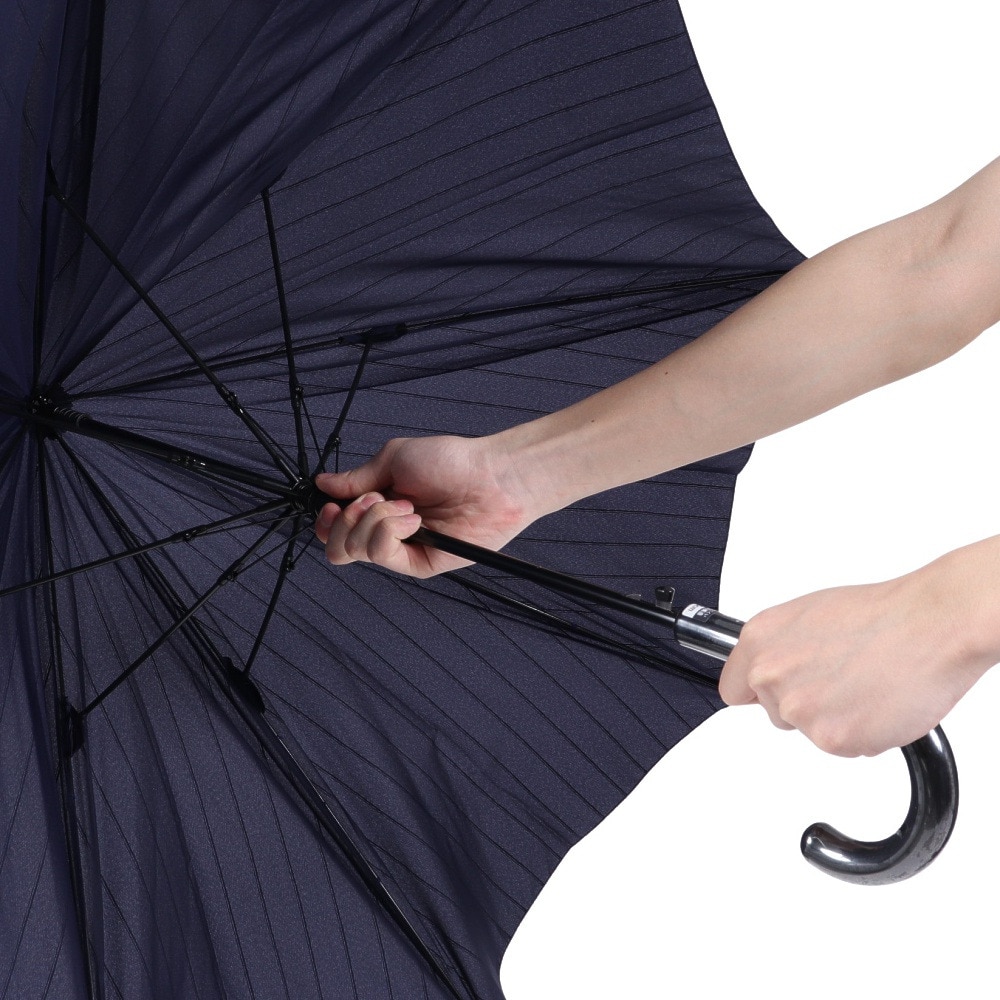チャンピオン（CHAMPION）（メンズ、レディース）雨傘 長傘 ストライプ 65cm ジャンプ式 耐風 CHM70JP65 NV ネイビー
