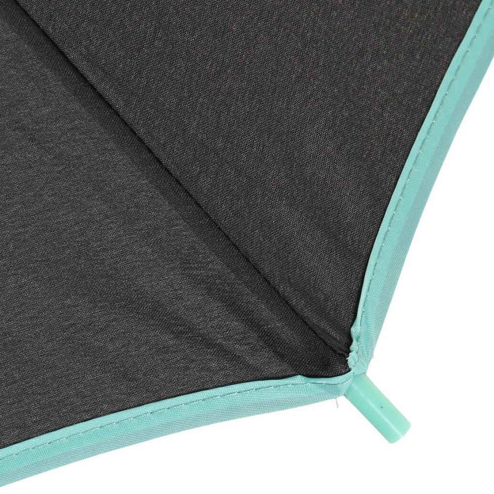 チャンピオン（CHAMPION）（キッズ）雨傘 パイピング ジャンプ傘 長傘 CHS50JP58 黒 58cm