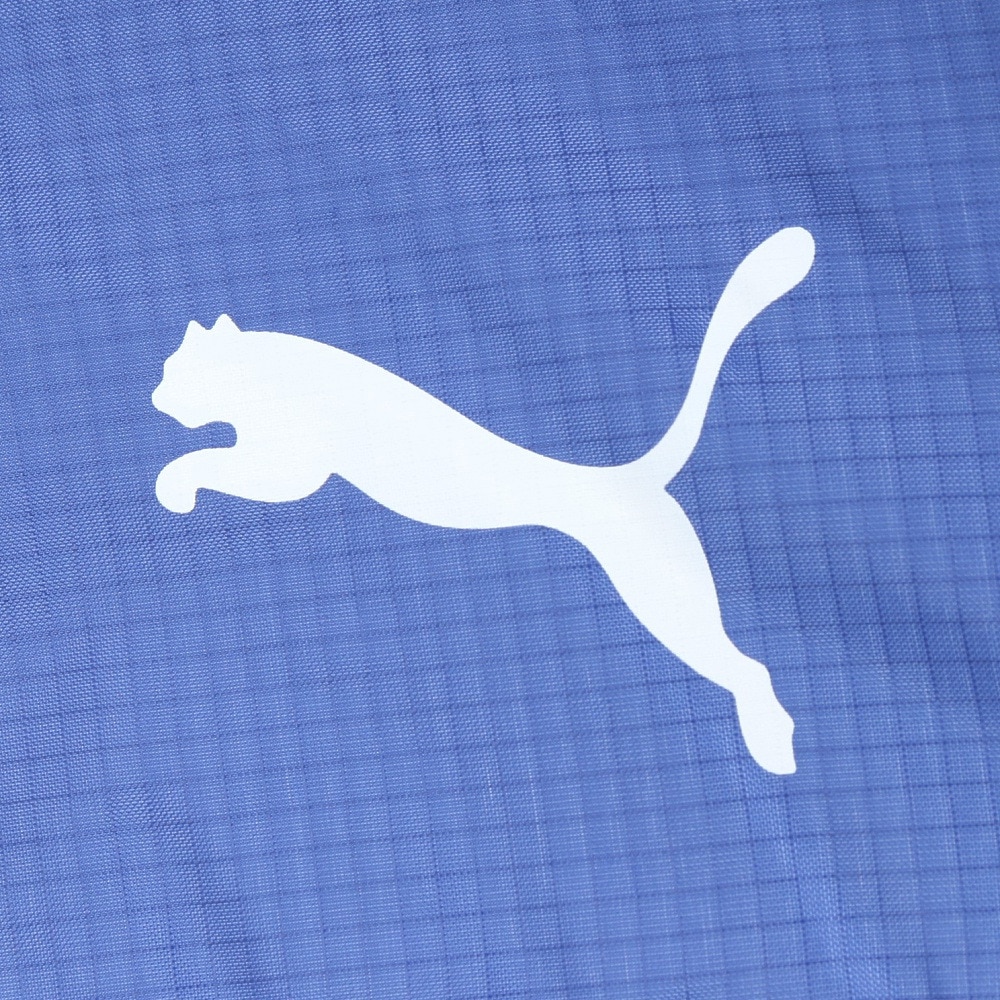 プーマ（PUMA）（メンズ、レディース、キッズ）折りたたみ傘 超軽量 リップ無地 青 55cm PPL22MN55 BL 三段式 雨傘 折り畳み 傘 持ち運び 