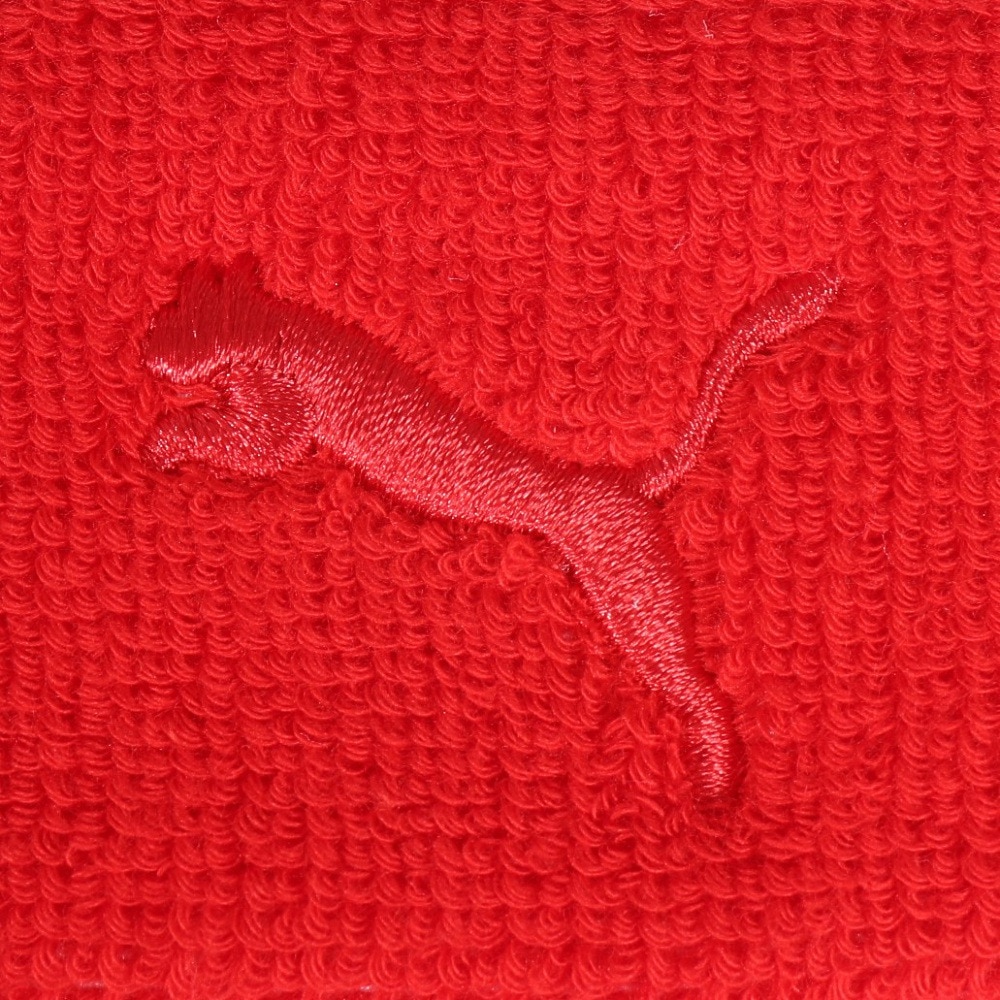 プーマ（PUMA）（メンズ、レディース、キッズ）ヘッドバンド トレーニング ESS コア 赤 05386605 トレーニング ジム フィットネス スポーツ 運動 健康