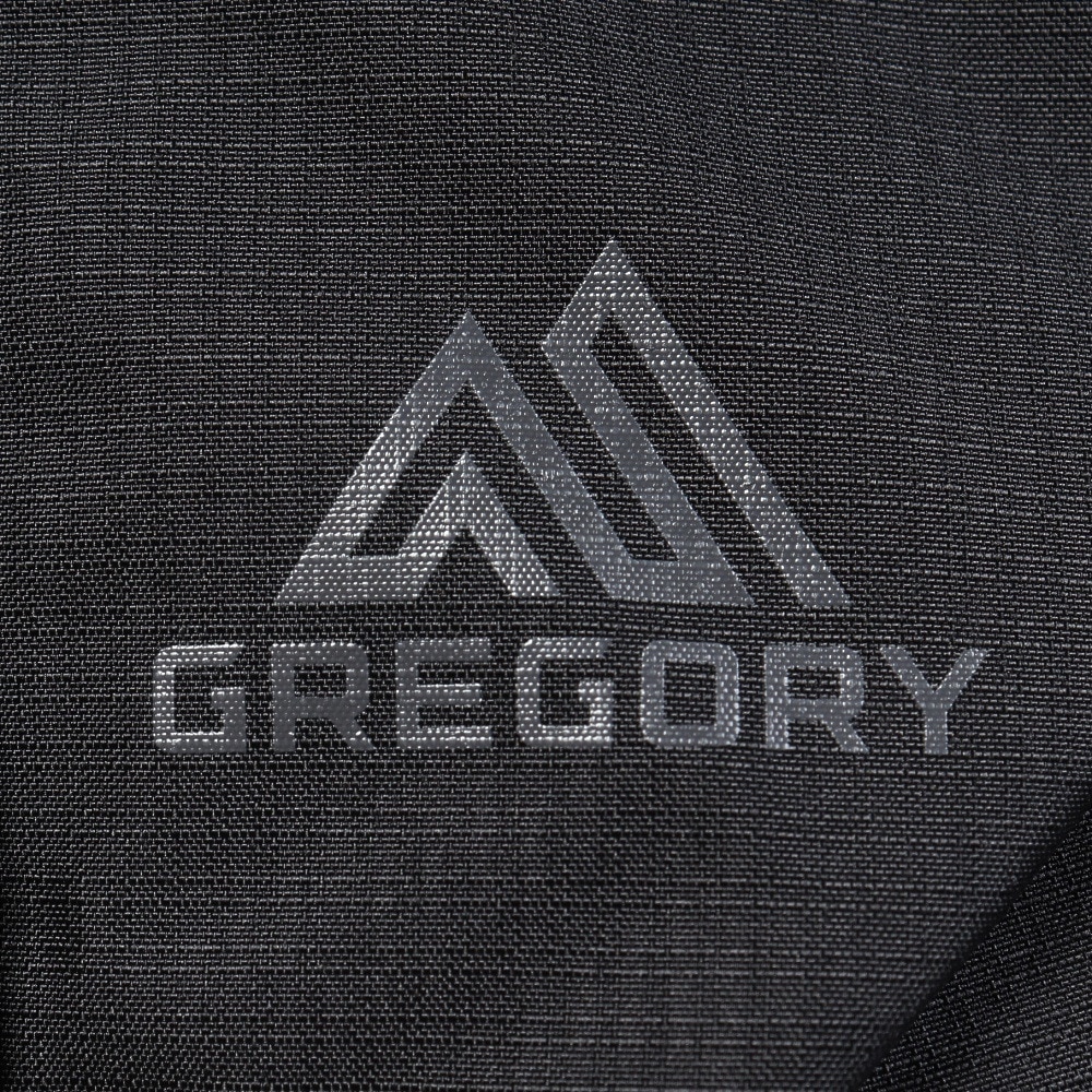 グレゴリー（GREGORY）（メンズ、レディース）レトナ 20 カーボンスカイ 150947A386 20L 黒 リュックサック