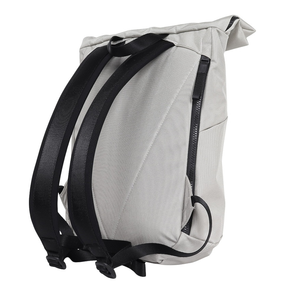 ザ・ノース・フェイス（THE NORTH FACE）（メンズ、レディース）バック