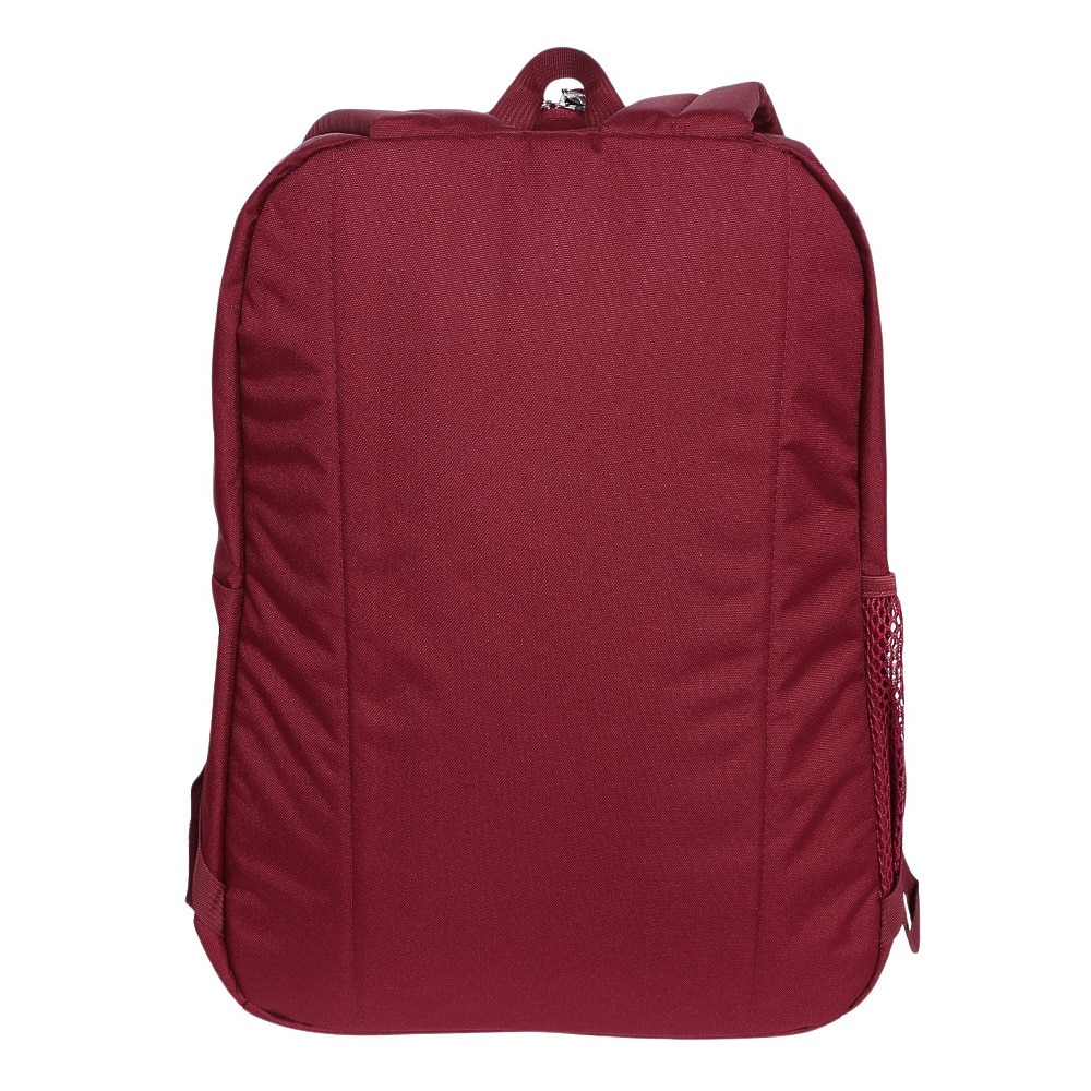 ジャンスポーツ（JANSPORT）（メンズ、レディース）リュック クロスタウンプラス ディパック JS0A7ZNZ-04S バックパック 26L 赤