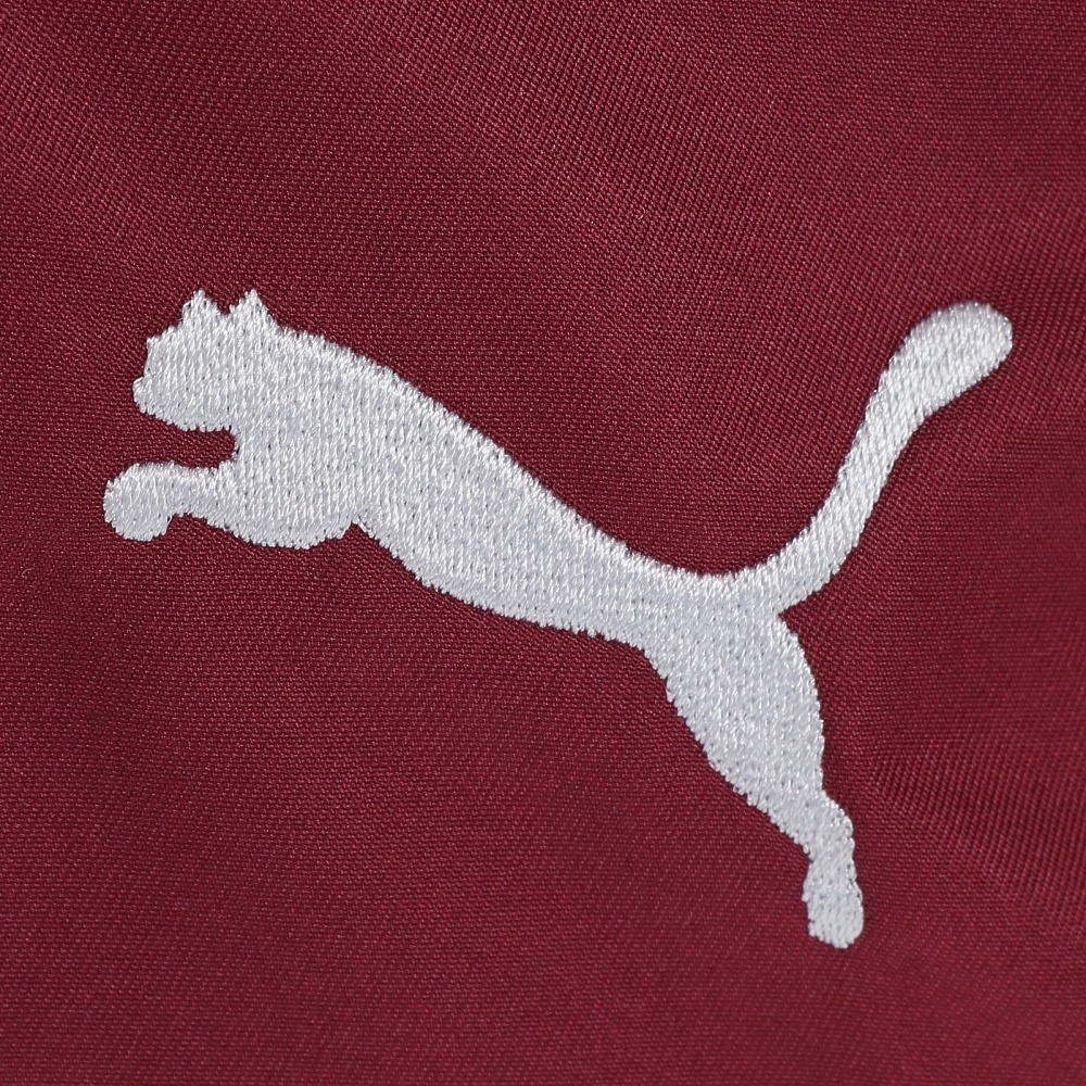 プーマ（PUMA）（レディース）コア ハー バックパック 12L 07948603 リュック