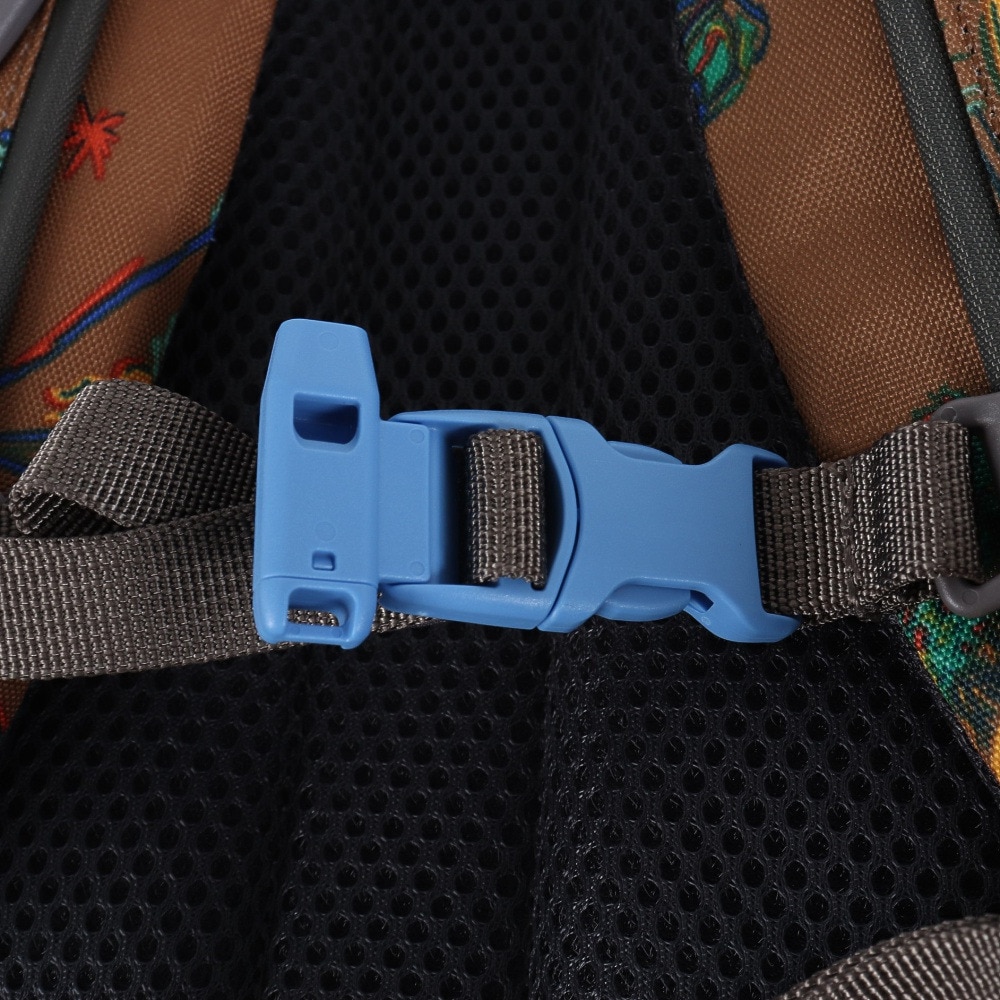 ノースフェイス（THE NORTH FACE）（キッズ）キッズ リュック ディパック ラウンディ NMJ72358 CB