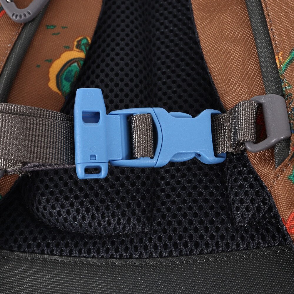 ノースフェイス（THE NORTH FACE）（キッズ）キッズ リュック ディパック スモールデイ NMJ72360 CB