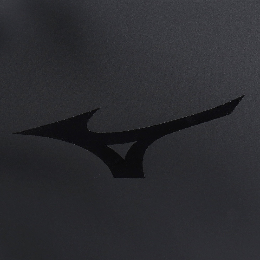 ミズノ（MIZUNO）（メンズ、レディース）バッグ N-XTショルダーバッグ 黒 30L 33JSC00290 ショルダー 肩掛け 斜め掛け