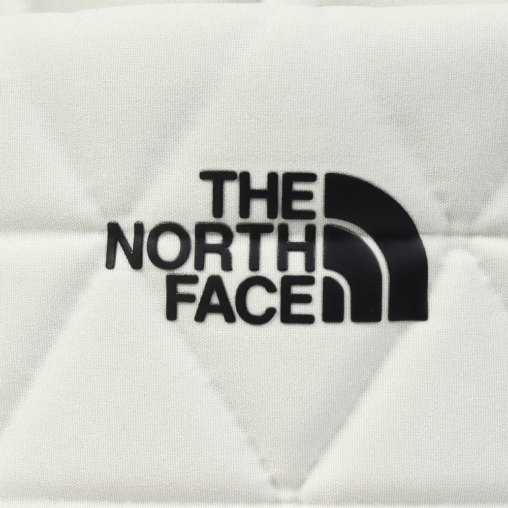 ザ・ノース・フェイス（THE NORTH FACE）（メンズ、レディース）リュック デイパック ジオフェイス ミニパック NM32351 VW ホワイト