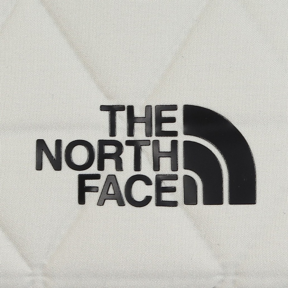 ザ・ノース・フェイス（THE NORTH FACE）（メンズ、レディース）バッグ ジオフェイス PCスリーブ 13インチ NM32354 VW