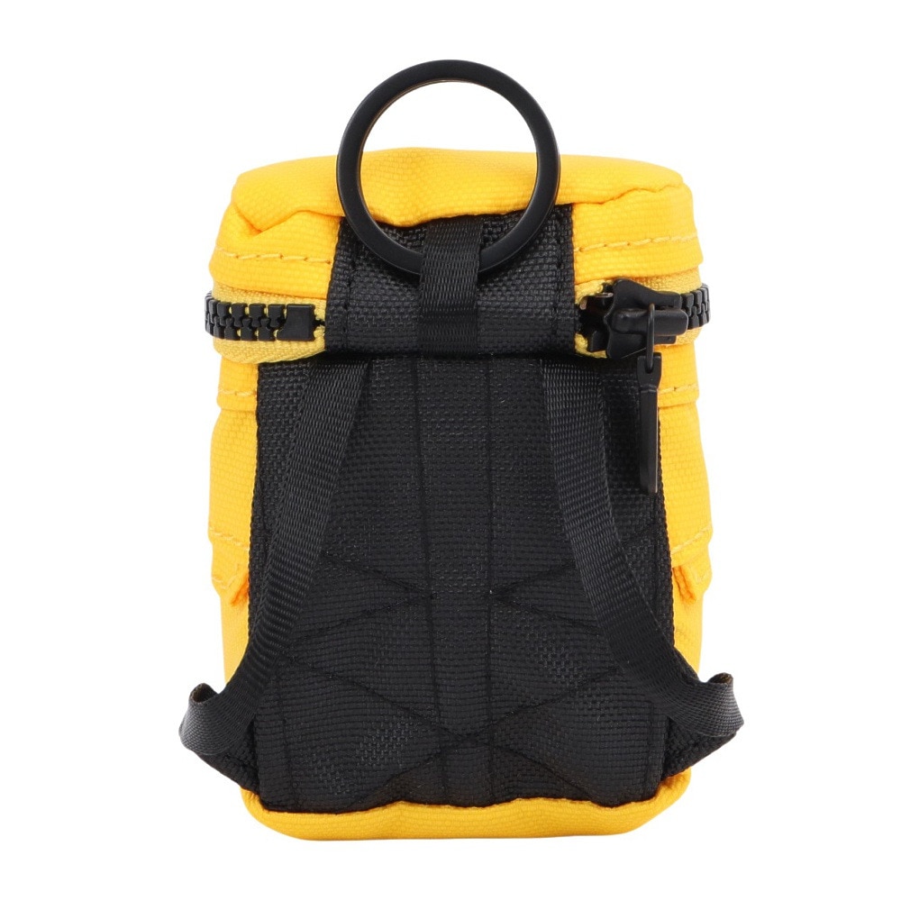 ザ・ノース・フェイス（THE NORTH FACE）（メンズ、レディース）キーホルダー BCヒューズボックスエコトートバック NN32328 TY