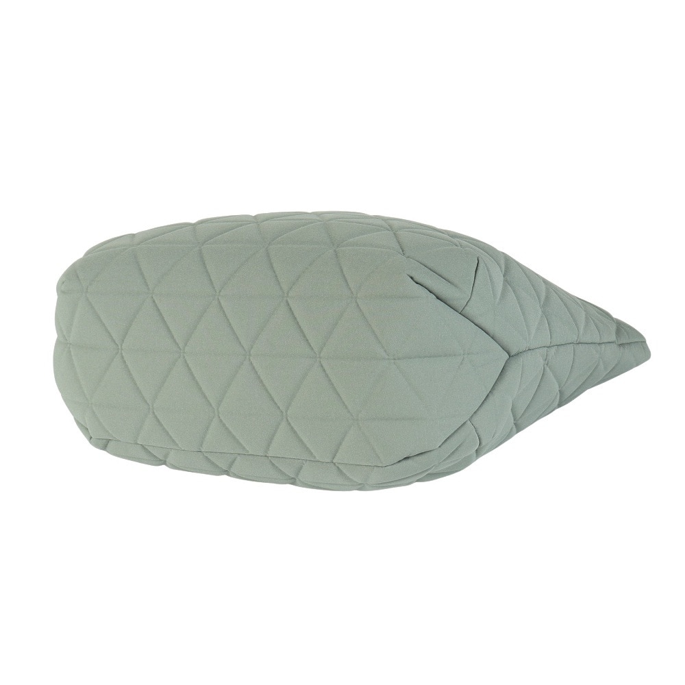 ザ・ノース・フェイス（THE NORTH FACE）（メンズ、レディース）トートバック ジオフェイストート NM32352 緑 15L BI トート お出かけ ノート型PC収納 シンプル