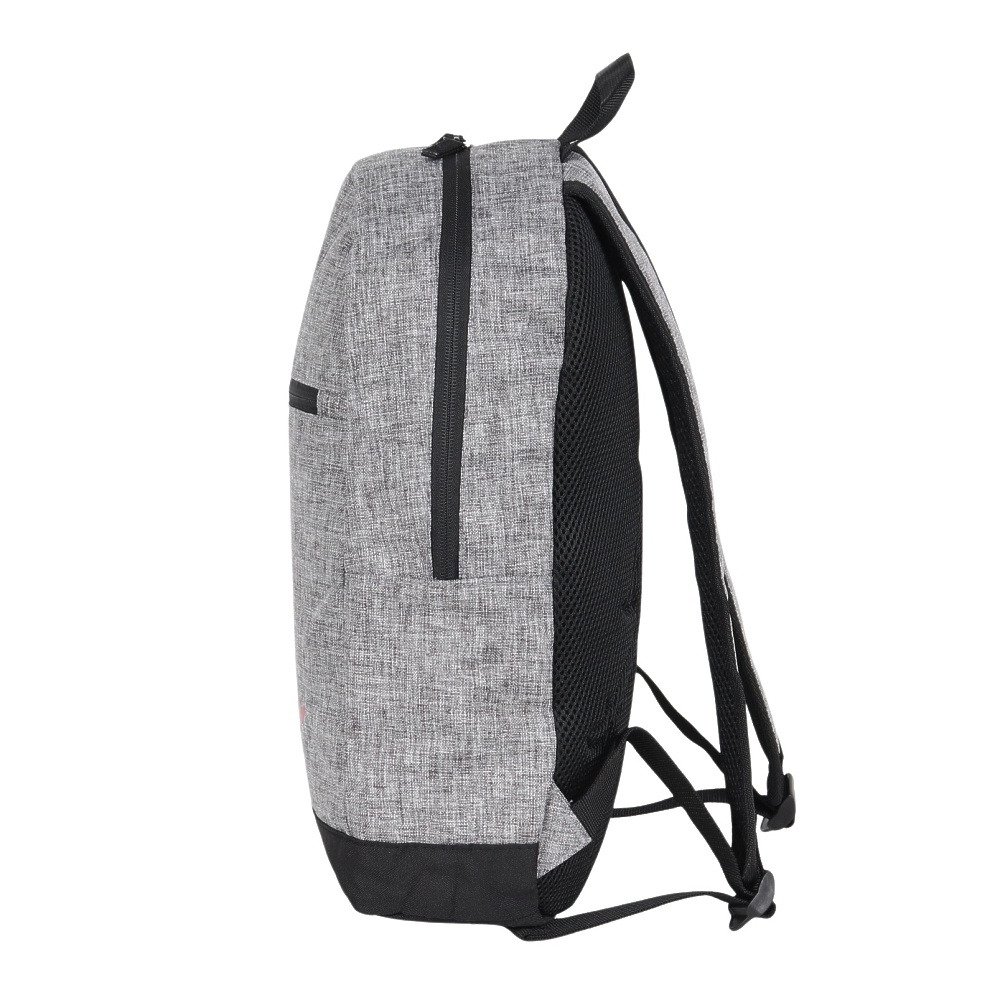 ジョーダン（JORDAN）（メンズ、レディース）リュック AIR SCHOOL バックパック グレー 17L 9B0503-GEH デイバッグ ポーチ付き