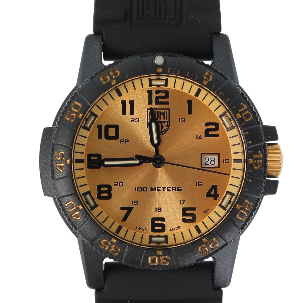 ルミノックス（LUMINOX）（メンズ）時計 LEATHERBACK SEA TURTLE GIANT 0320 SERIES Ref.0325.GP 08920325