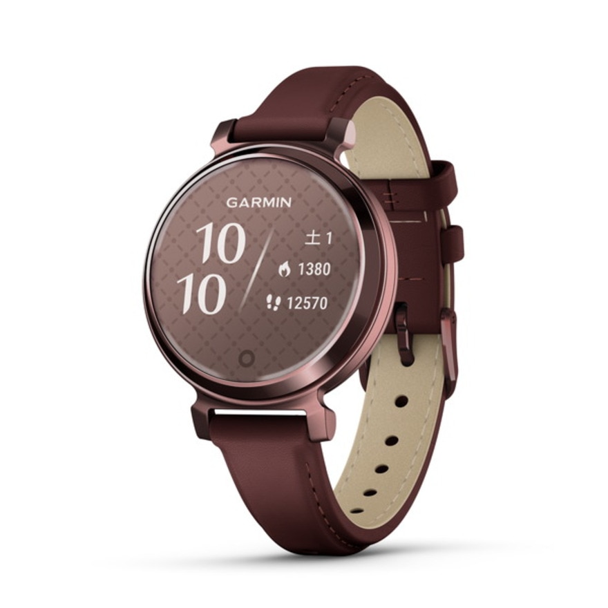 ѡݡĥӥ饤󥹥ȥ㤨GARMIN Lily 2 Classic ޡȥå 010-02839-51 ƣ 31 סספβǤʤ47,800ߤˤʤޤ