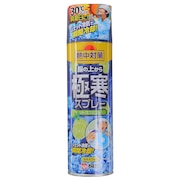 桐灰科学（メンズ）熱中対策 服の上から極寒スプレー シトラス 330ml