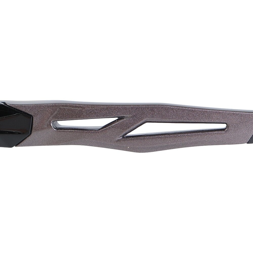 ジールオプティクス（ZEAL OPTICS）（メンズ）サングラス STELTH F-1930 ブルーミラー