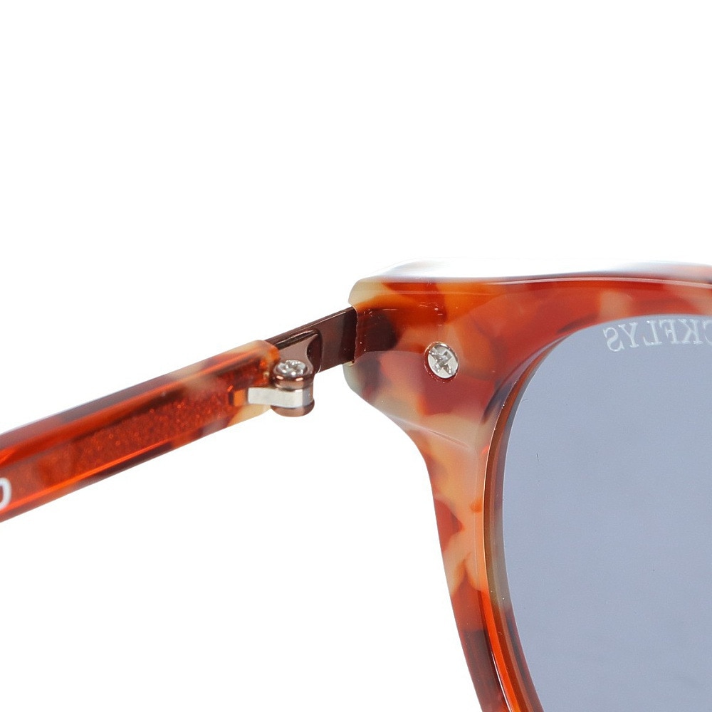 ブラックフライ（BLACK FLYS）（メンズ、レディース）サングラス FLY VINCENT 茶色 BF-13841-18 UVカット 紫外線対策 ジャパンフィット カラーレンズ 男女兼用