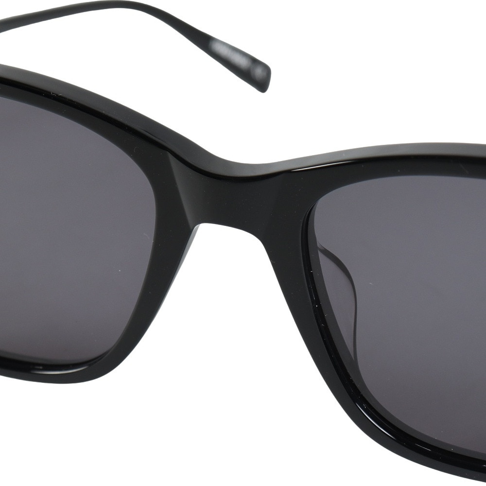 ブラックフライ（BLACK FLYS）（メンズ、レディース）サングラス FLY EVANS BF-13505-01