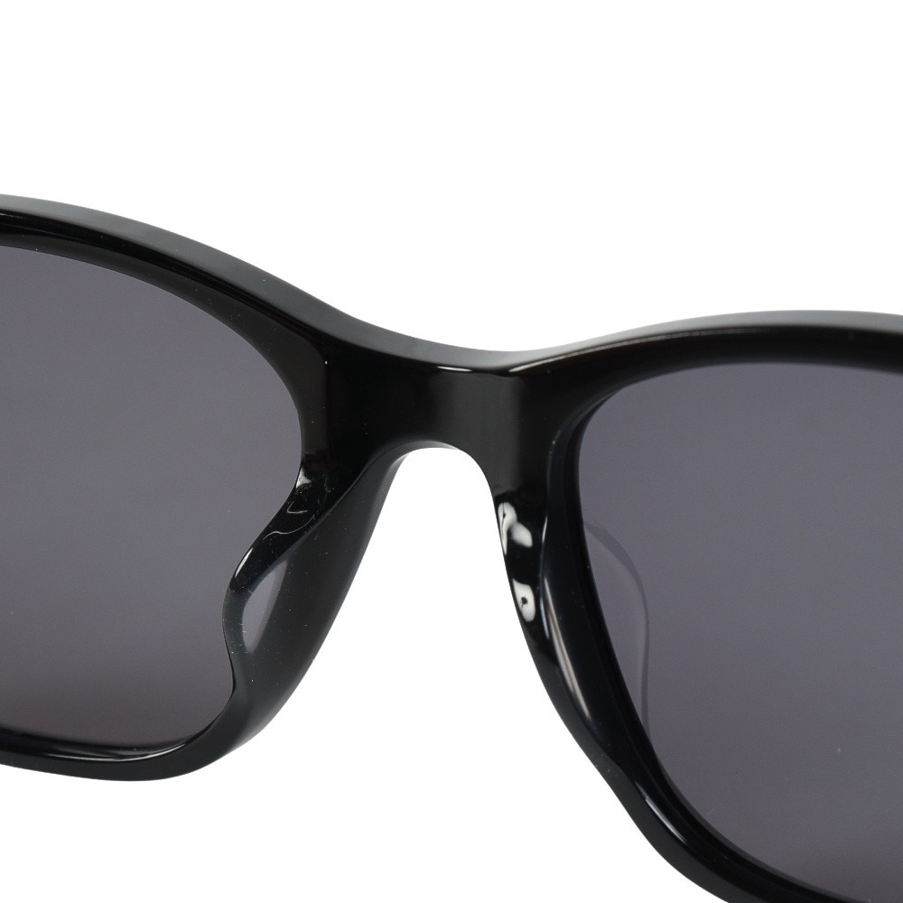 ブラックフライ（BLACK FLYS）（メンズ、レディース）サングラス FLY EVANS BF-13505-01