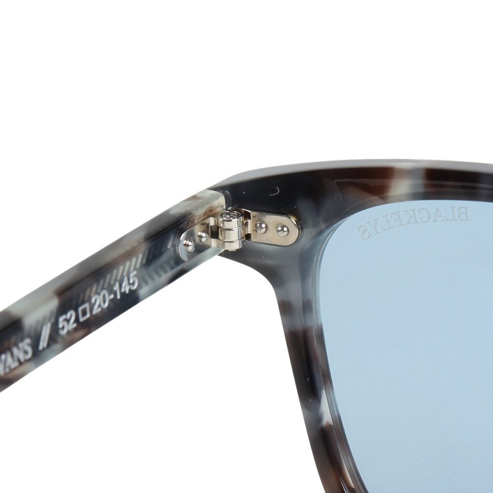 ブラックフライ（BLACK FLYS）（メンズ、レディース）サングラス FLY EVANS BF-13505-04
