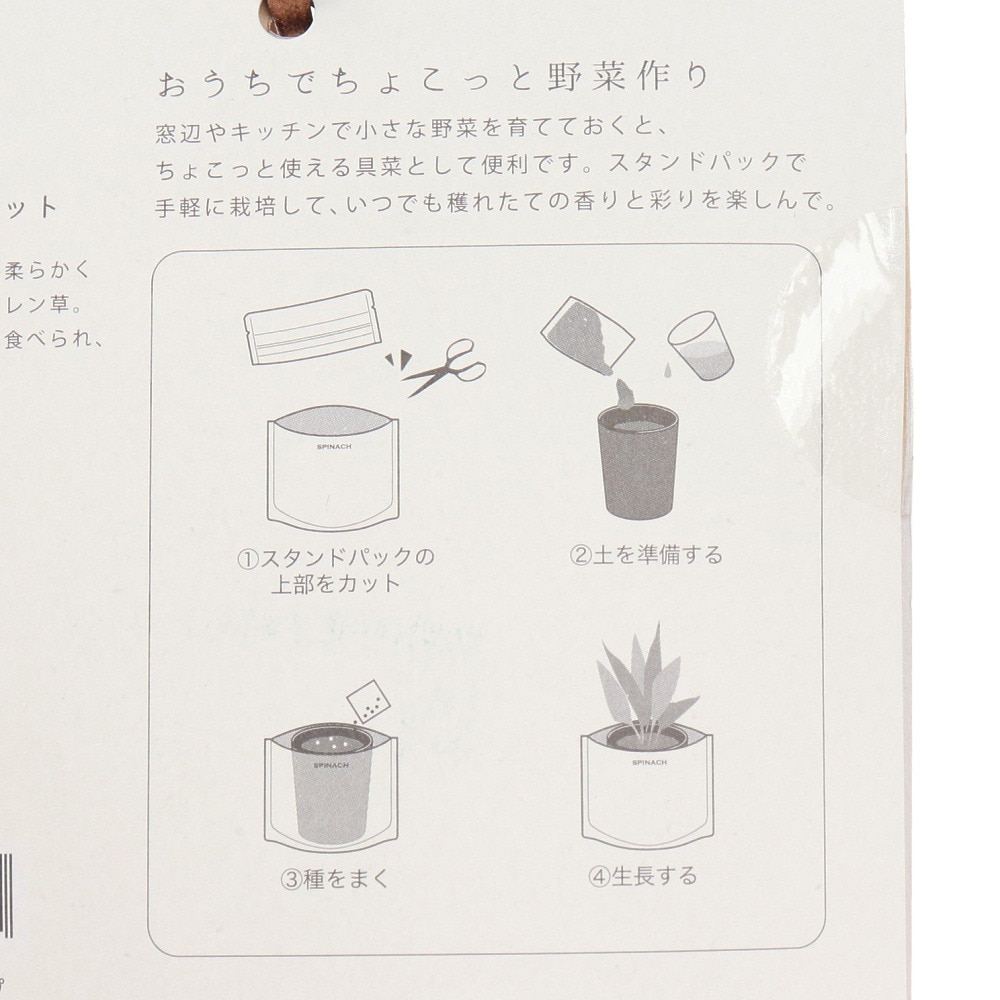 聖新陶芸（SEISHIN）（メンズ、レディース、キッズ）育てるスープ ホウレンソウ GD-795