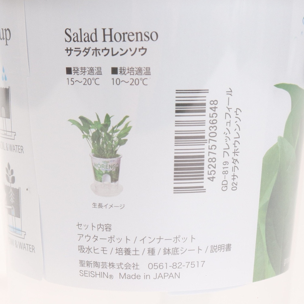 聖新陶芸（SEISHIN）（メンズ、レディース、キッズ）Fresh Feel サラダホウレンソウ GD-819