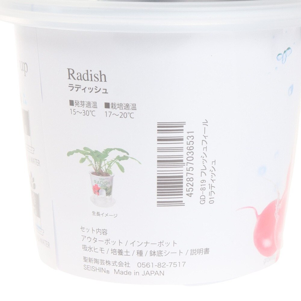 聖新陶芸（SEISHIN）（メンズ、レディース、キッズ）Fresh Feel ラディッシュ GD-819