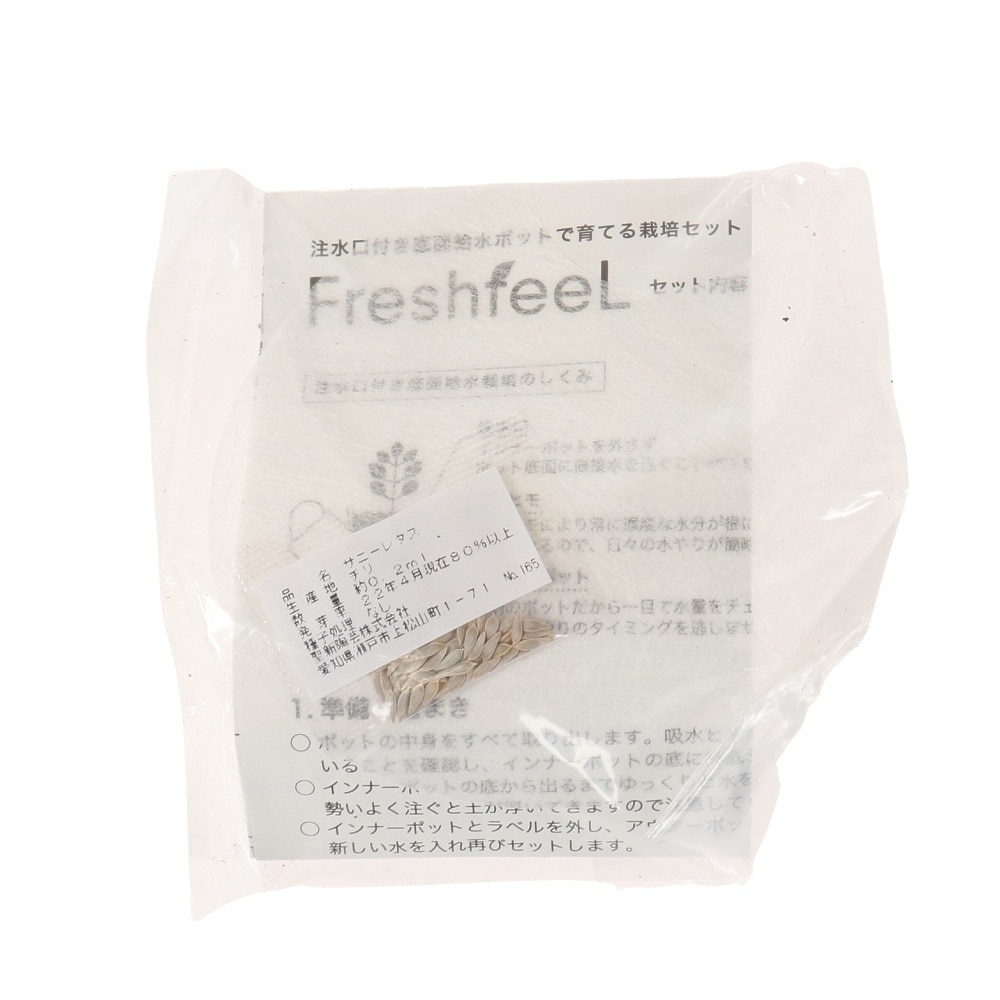 聖新陶芸（SEISHIN）（メンズ、レディース、キッズ）Fresh Feel レタス GD-819