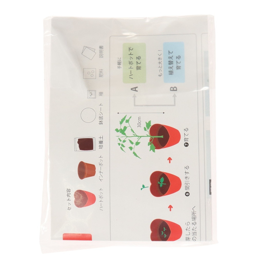 聖新陶芸（SEISHIN）（メンズ、レディース、キッズ）マイクロトマト 栽培セット GD-903