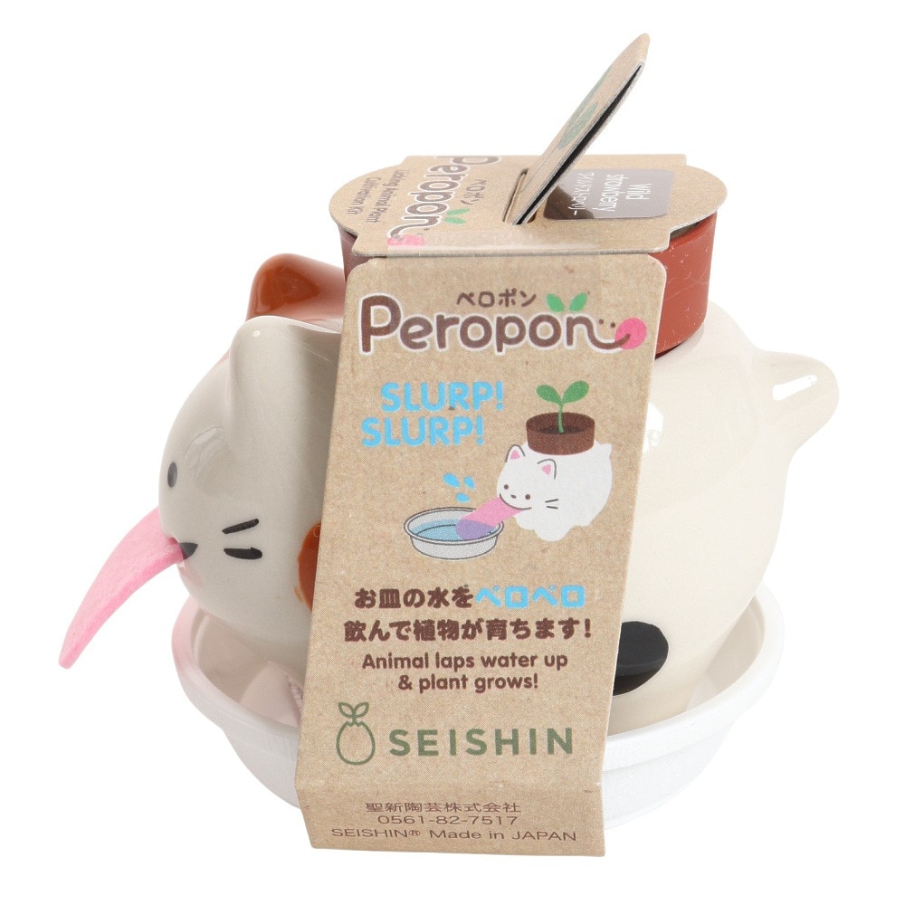 聖新陶芸（SEISHIN）（メンズ、レディース、キッズ）ペロポン キャッツ ミケネコ ワイルドストロベリー GD-949