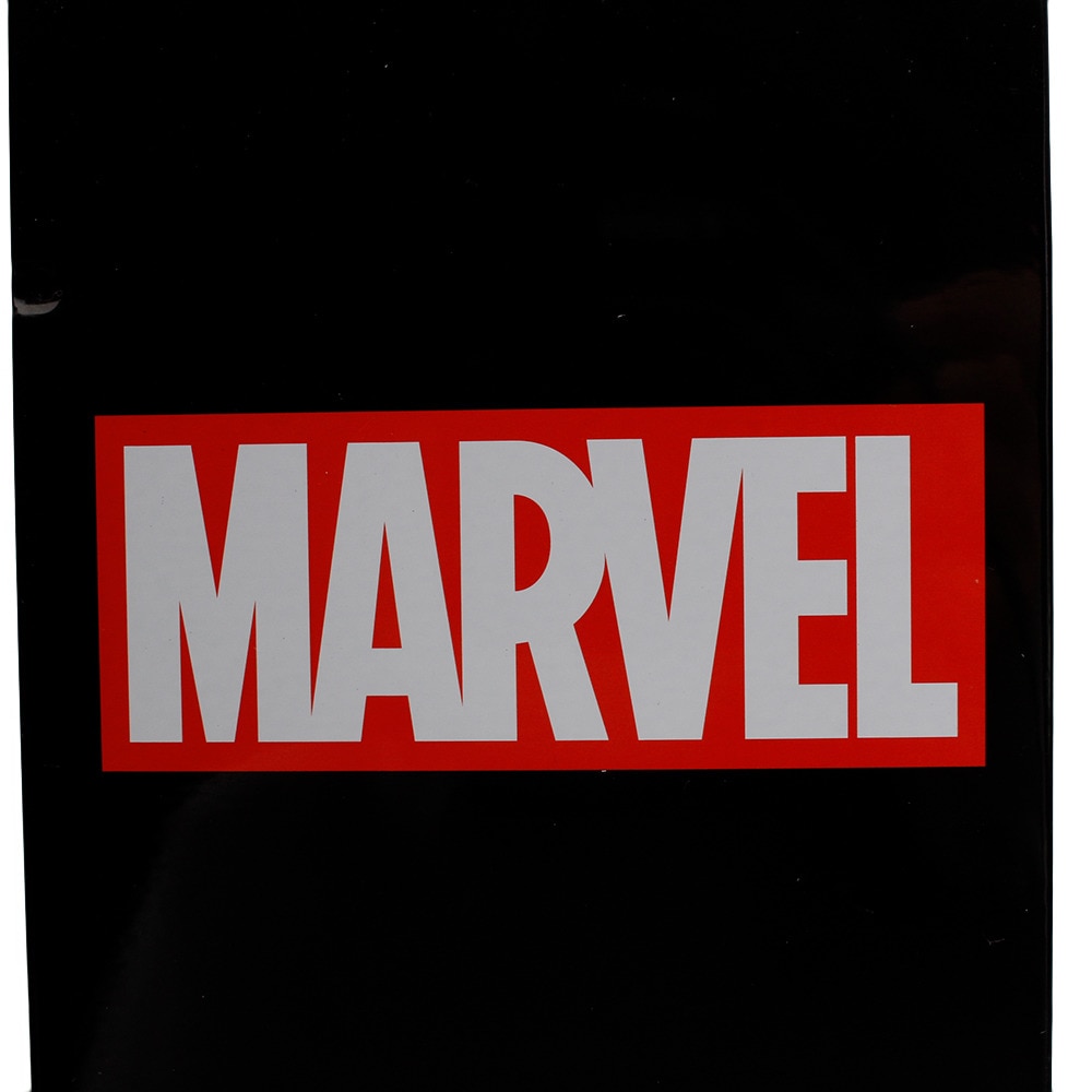 マーベル（MARVEL）（メンズ、レディース、キッズ）12色 色鉛筆 50230