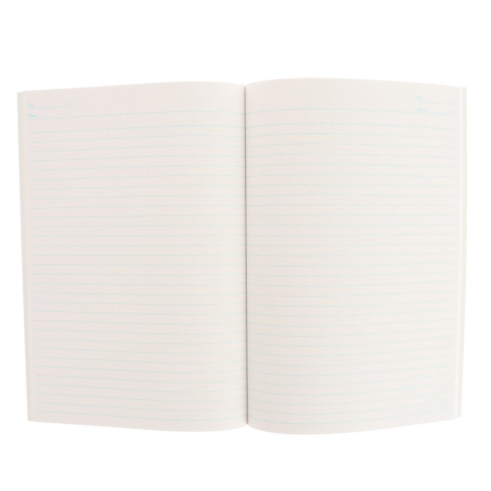 B5 罫線 ポーズ S ポケモン ヴィクトリアゴルフ