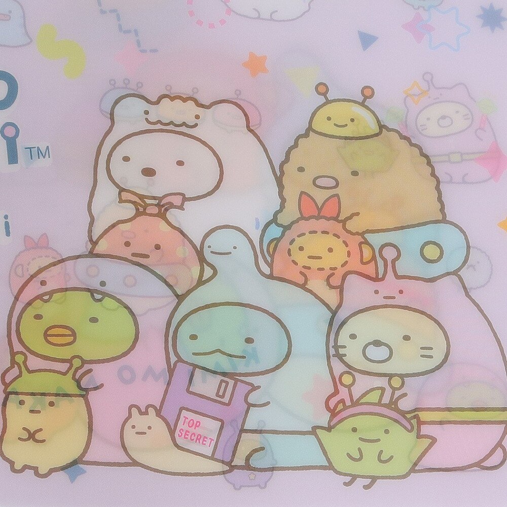 すみっコぐらし（Sumikkogurashi）（メンズ、レディース、キッズ）ポケット付クリアホルダー ふしぎなおともだち・B FA08904