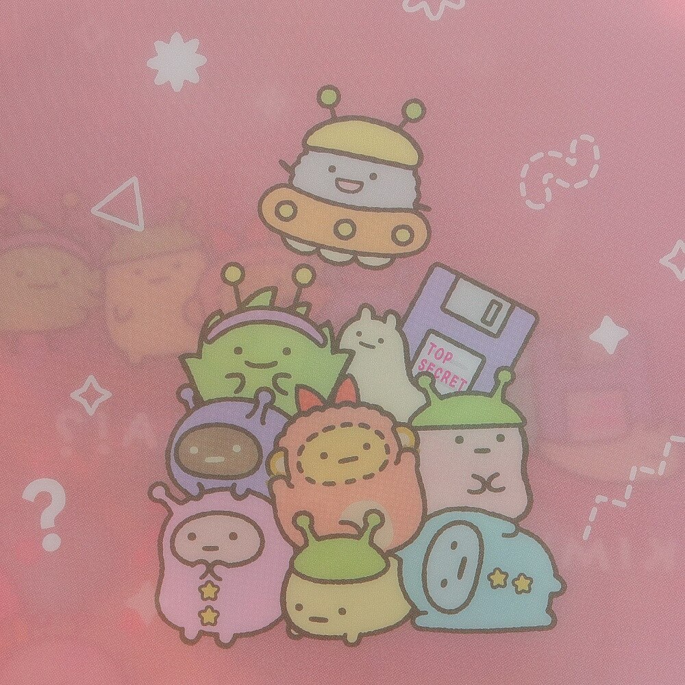 すみっコぐらし（Sumikkogurashi）（メンズ、レディース、キッズ）ポケット付クリアホルダー ふしぎなおともだち・B FA08904
